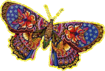 разновидности бабочек и их названия и фото Babochka_2