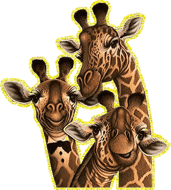 дети и мама жирафы
